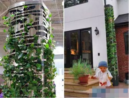 家用雨水收集器：如何手工制作安装，10大创意构思抢先看！